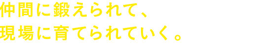 仲間に鍛えられて、現場に育てられていく。