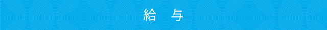 給 与